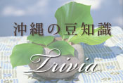 沖縄の豆知識