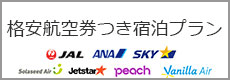 ANA・JAL往復航空券付き宿泊プラン